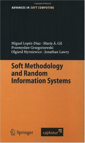 Soft methodology and random information systems