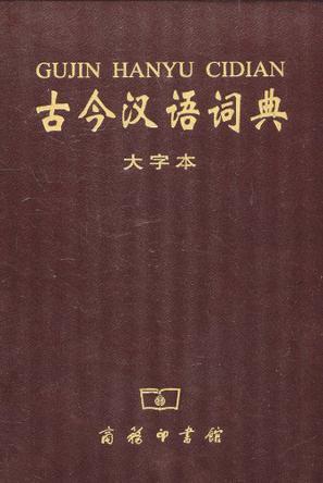 古今汉语词典 大字本