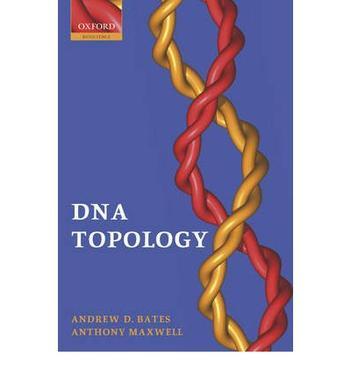 DNA topology