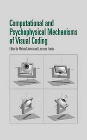 Computational and psychophysical mechanisms of visual coding