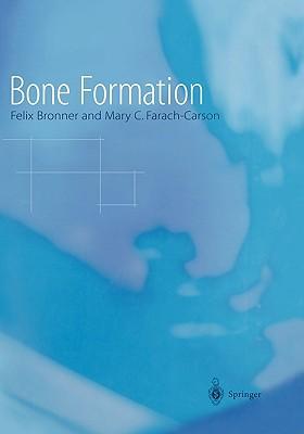 Bone formation