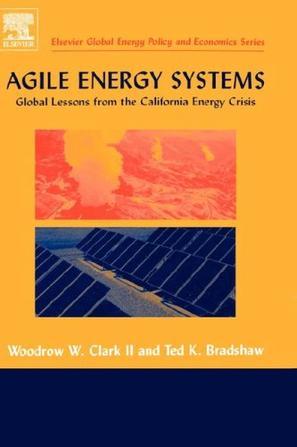 Agile energy systems global lessons from the California energy crisis