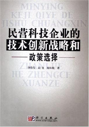 民营科技企业的技术创新战略和政策选择