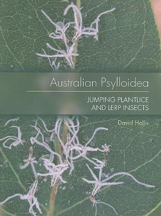 Australian Psylloidea jumping plantlice and lerp insects
