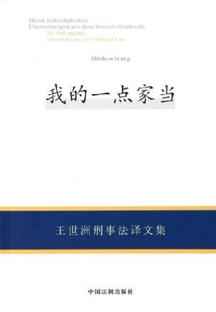 我的一点家当 王世洲刑事法译文集