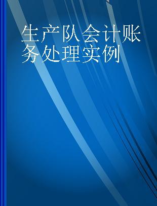 生产队会计账务处理实例