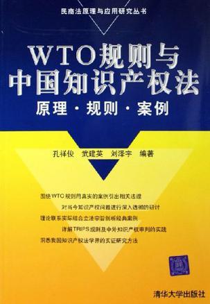 WTO规则与中国知识产权法原理·规则·案例