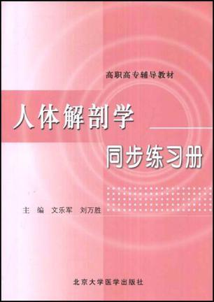 人体解剖学同步练习册