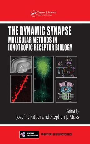 The dynamic synapse molecular methods in ionotropic receptor biology