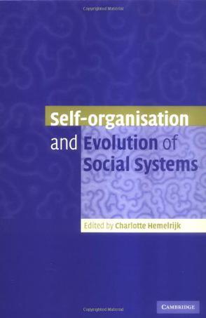 Self-organisation and evolution of social systems