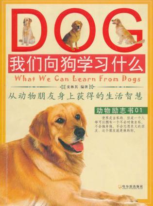 我们向狗学习什么