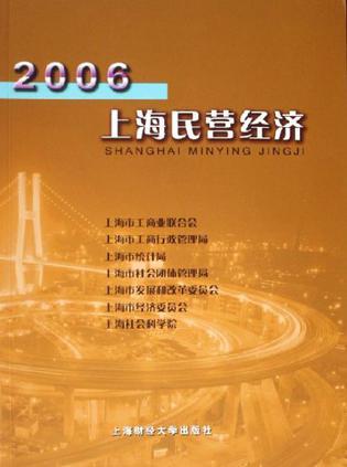 2006上海民营经济