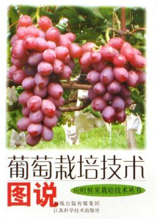 葡萄栽培技术图说