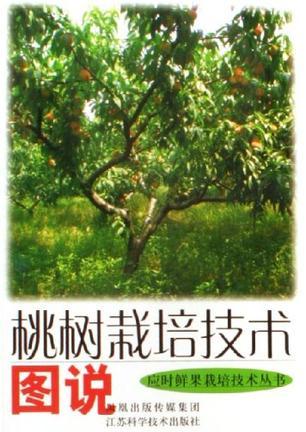 桃树栽培技术图说