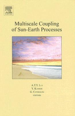 Multiscale coupling of sun-earth processes