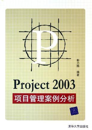 Project 2003项目管理案例分析