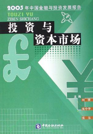 投资与资本市场 2005年中国金融与投资发展报告