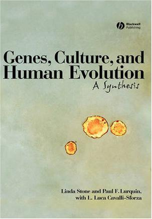 Genes, culture, and human evolution a synthesis