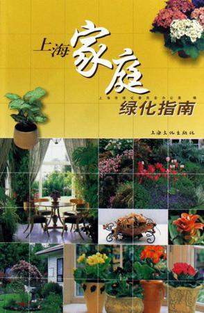 上海家庭绿化指南