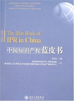 中国知识产权蓝皮书 2005～2006 2005～2006