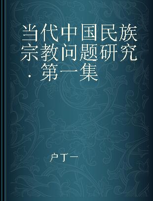 当代中国民族宗教问题研究 第一集