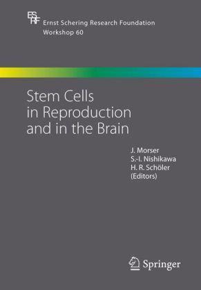 Stem cells in reproduction and in the brain