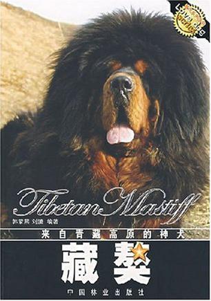 藏獒 来自青藏高原的神犬
