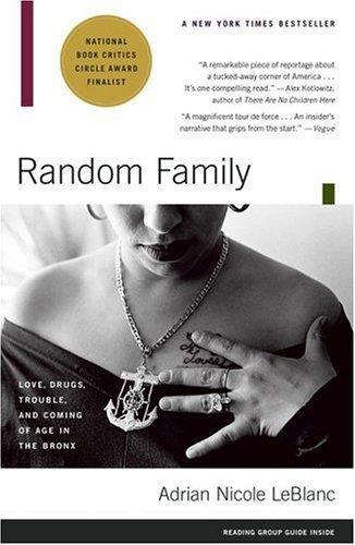 Random family love, drugs, trouble, and coming of age in the Bronx