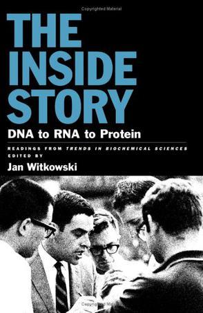 The inside story DNA to RNA to protein