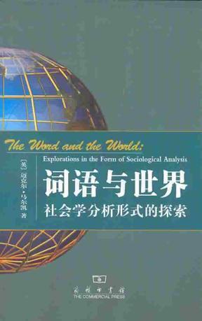 词语与世界 社会学分析形式的探索