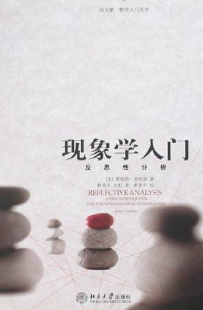 现象学入门 反思性分析 A first introduction into phenomenological investigation