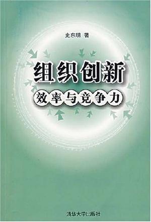 组织创新效率与竞争力