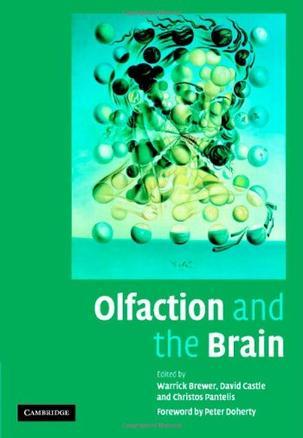 Olfaction and the brain