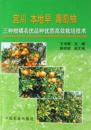 宫川 本地早 葡萄柚三种柑橘名优品种优质高效栽培技术