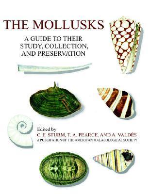 The mollusks a guide to their study, collection, and preservation