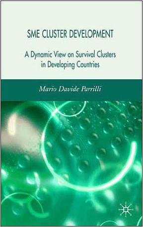 SME cluster development a dynamic view on survival clusters in developing countries
