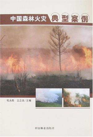 中国森林火灾典型案例 1953～2005