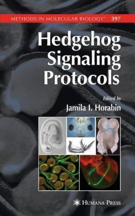 Hedgehog signaling protocols