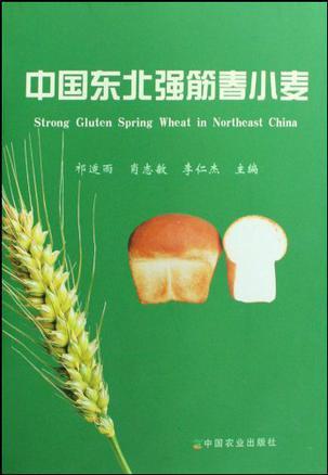 中国东北强筋春小麦