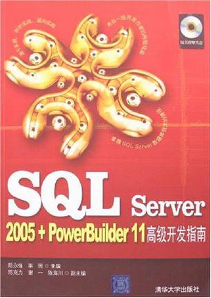 SQL Server 2005+PowerBuilder 11高级开发指南