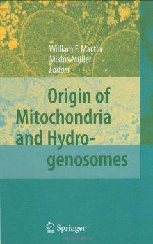 Origin of mitochondria and hydrogenosomes