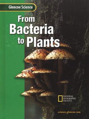 From bacteria to plants