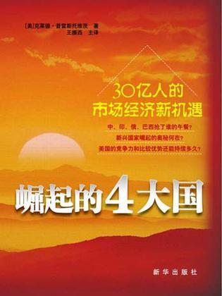 崛起的4大国 30亿人的市场经济新机遇