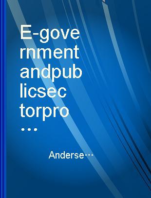 E-government and public sector process rebuilding dilettantes, wheel barrows, and diamonds