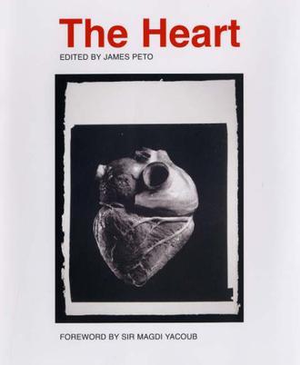 The heart