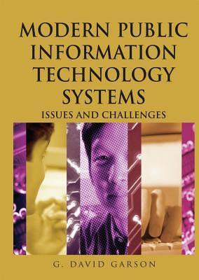 Modern public information technology systems issues and challenges