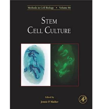 Stem cell culture