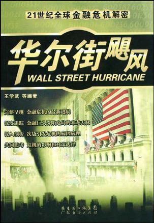华尔街飓风 21世纪全球金融危机解密