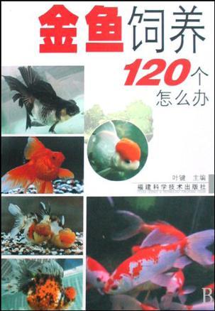 金鱼饲养120个怎么办