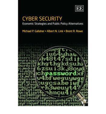 Cyber security economic strategies and public policy alternatives